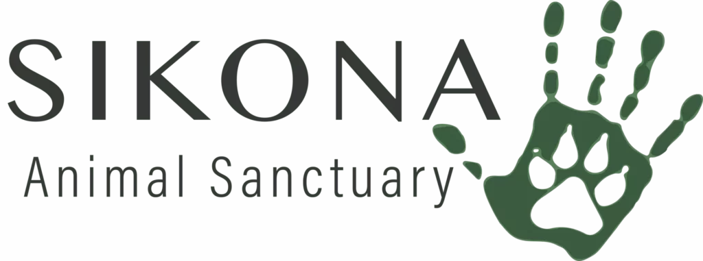 acss.bricksmaven.com